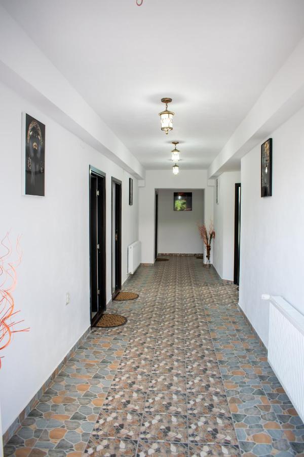 Hotel Casa Nevada à Curtea de Argeş Extérieur photo